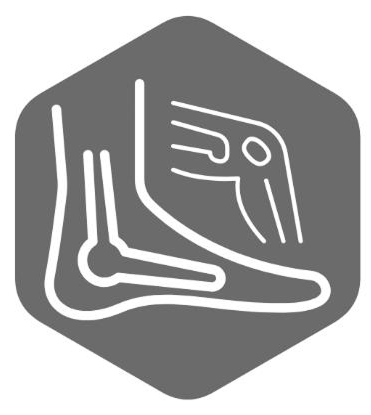 profil-neurofisiologo-clinico-en-queretaro